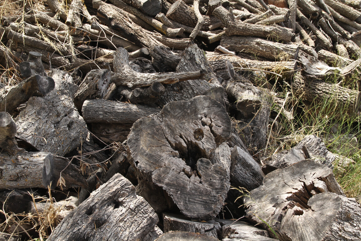 Logs, Pianogrillo Farm Organic Winery, Chiaramonte Gulfi, Sicily